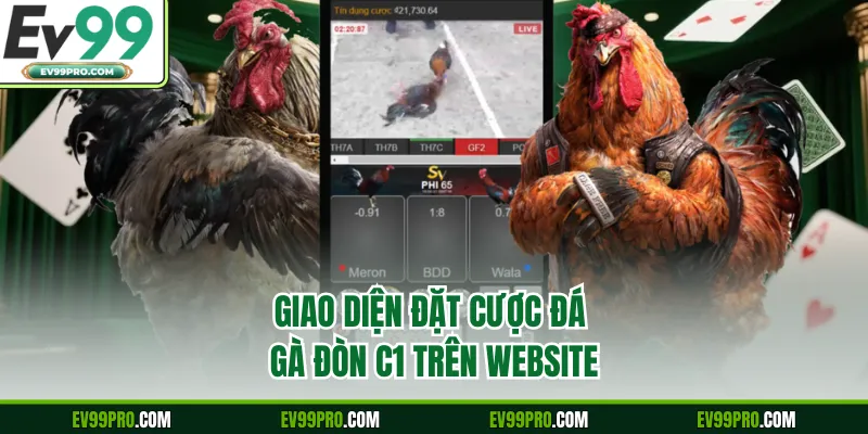 Giao diện đặt cược đá gà đòn C1 trên website